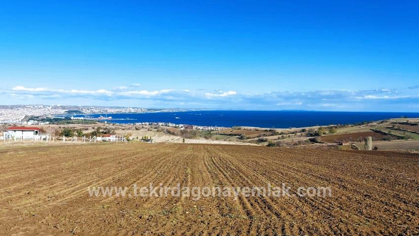 Süleymanpaşa Kumbağ Barbaros Mah. Satılık Arazi - Villa İmar Durumlu - 6.350 m²