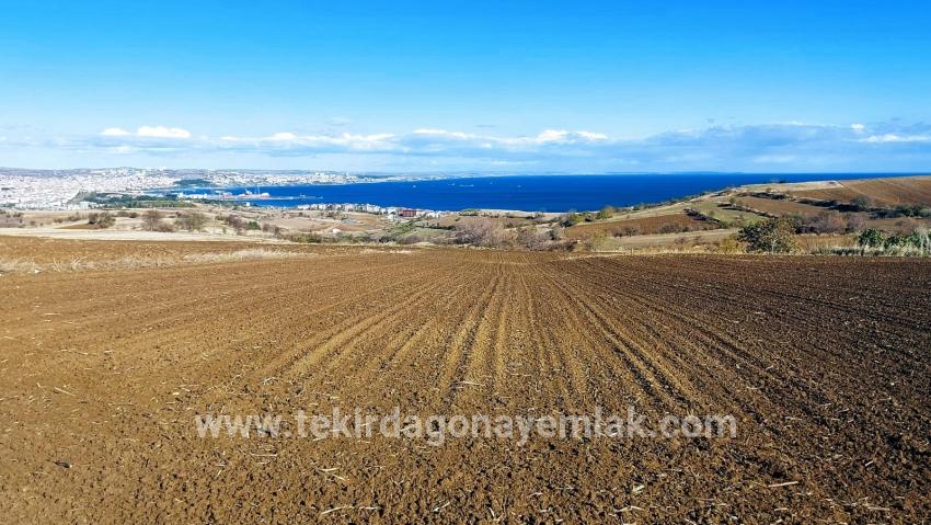 Süleymanpaşa Kumbağ Barbaros Mah. Satılık Arazi - Villa İmar Durumlu - 6.350 m²