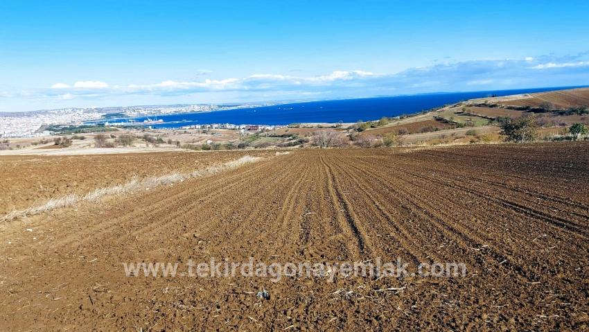 Süleymanpaşa Kumbağ Barbaros Mah. Satılık Arazi - Villa İmar Durumlu - 6.350 m²