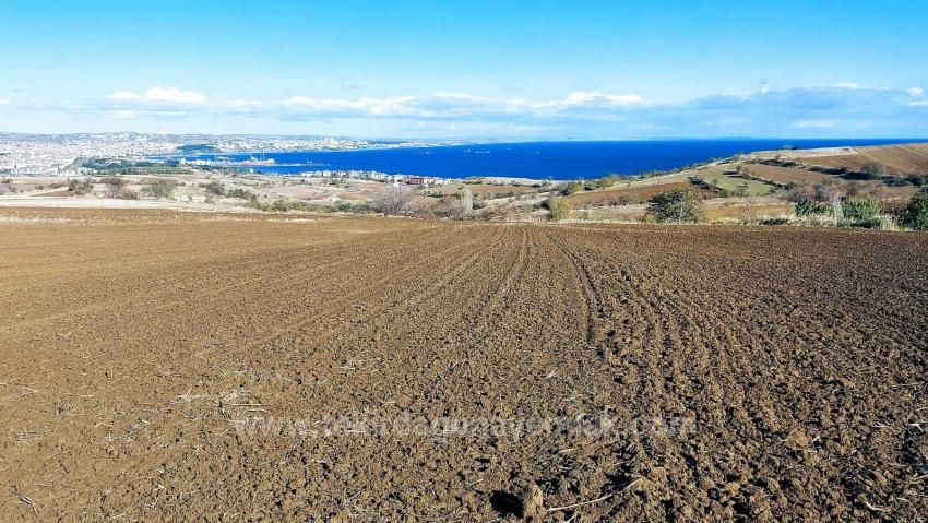 Muhteşem Deniz Ve Doğa Manzaralı 12 Adet Villa Projesine Uygun Acil Satılık Arazi