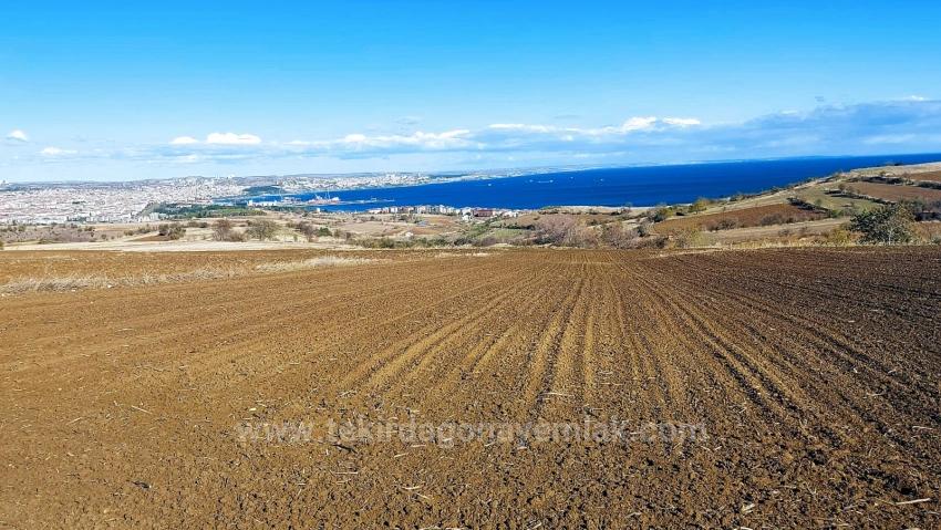 Muhteşem Deniz Ve Doğa Manzaralı 12 Adet Villa Projesine Uygun Acil Satılık Arazi