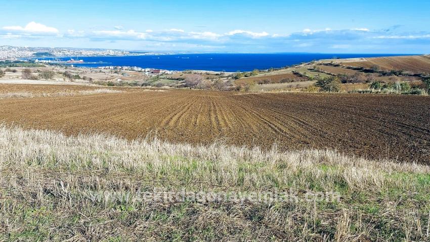 Süleymanpaşa Kumbağ Barbaros Mah. Satılık Arazi - Villa İmar Durumlu - 6.350 m²