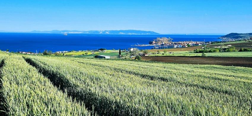 50 Dairelik Full Deniz Ve Doğa Manzaralı Kooparetif Ve Site Porojesine Uygun Arazi