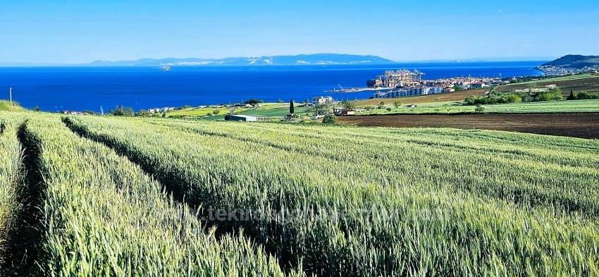 50 Dairelik Full Deniz Ve Doğa Manzaralı Kooparetif Ve Site Porojesine Uygun Arazi