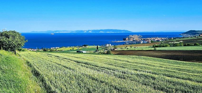 50 Dairelik Full Deniz Ve Doğa Manzaralı Kooparetif Ve Site Porojesine Uygun Arazi