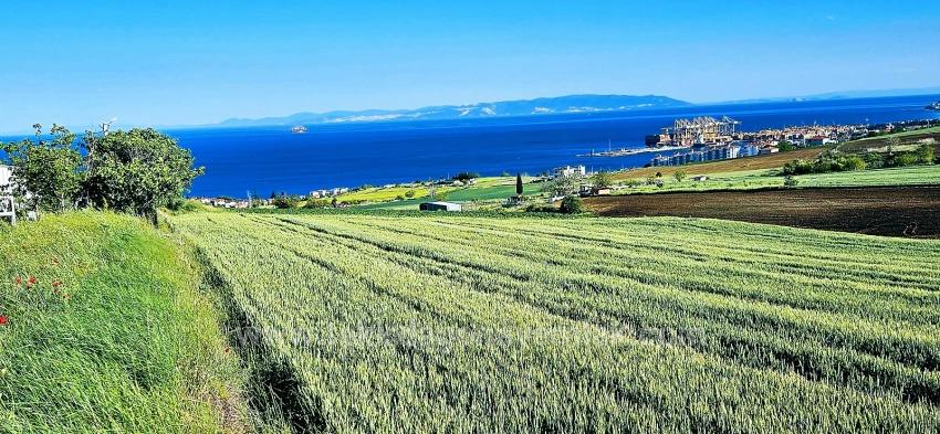 50 Dairelik Full Deniz Ve Doğa Manzaralı Kooparetif Ve Site Porojesine Uygun Arazi