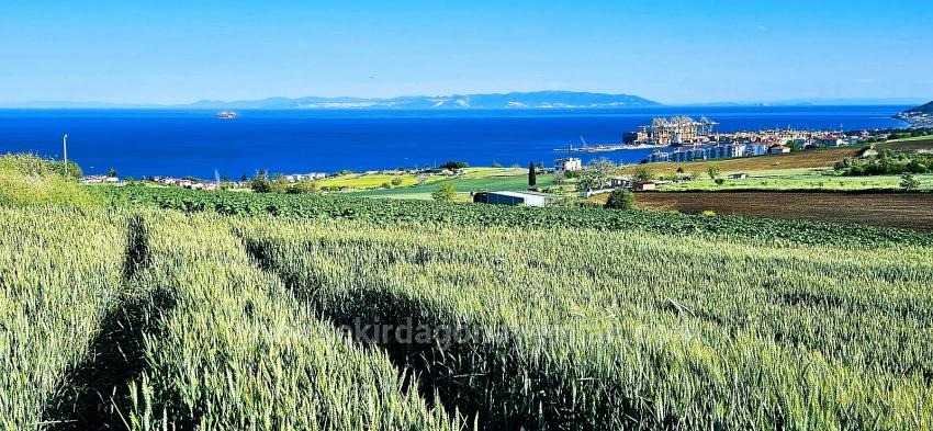 50 Dairelik Full Deniz Ve Doğa Manzaralı Kooparetif Ve Site Porojesine Uygun Arazi