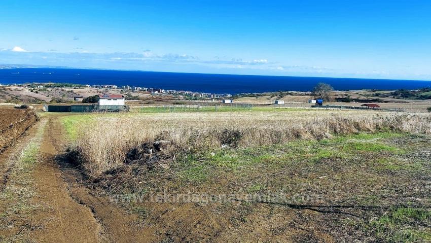 Acil Saatılık Lüxs Villa Poroje Uygula Yüksek Kaznç Sağla Tamamen Full Deniz Ve Doğa Manza