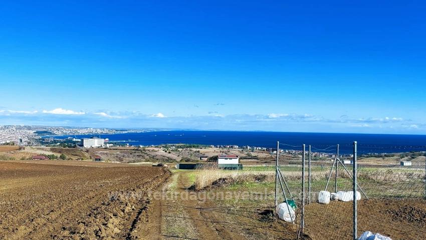 Acil Saatılık Lüxs Villa Poroje Uygula Yüksek Kaznç Sağla Tamamen Full Deniz Ve Doğa Manza