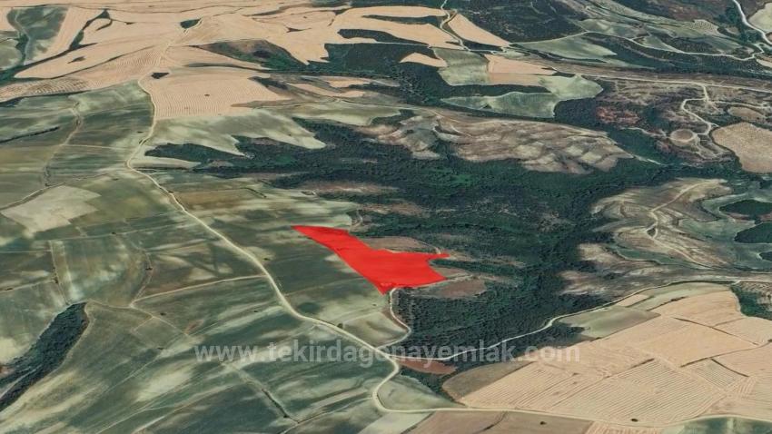 *Takas+Nakit* Devlet Desteği İle Çiftlik Kur* Üret Büyüt* Geleceğine Garantiye Al*