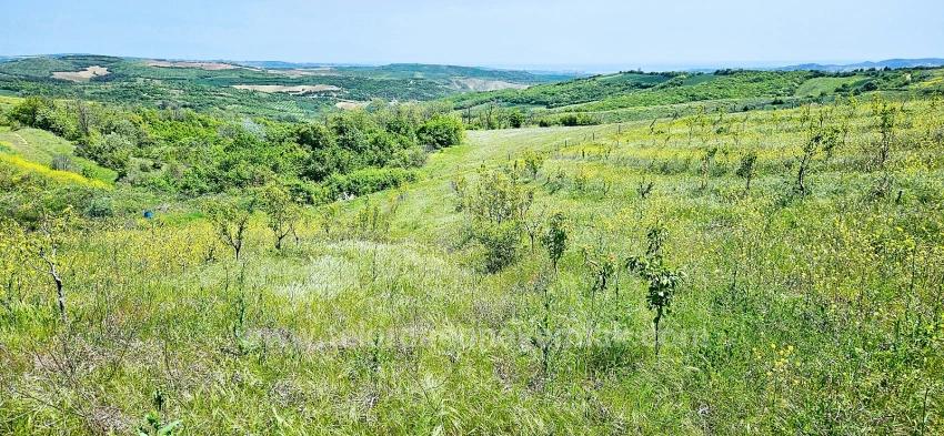 *Takas+Nakit* Devlet Desteği İle Çiftlik Kur* Üret Büyüt* Geleceğine Garantiye Al*