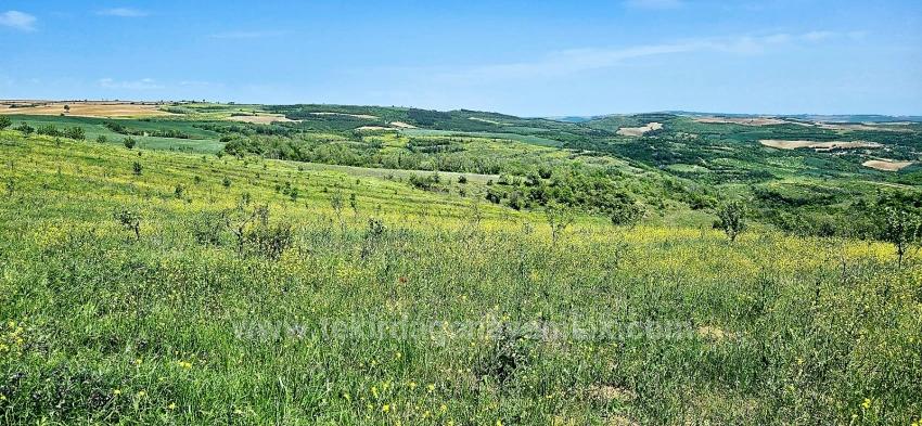 *Takas+Nakit* Devlet Desteği İle Çiftlik Kur* Üret Büyüt* Geleceğine Garantiye Al*