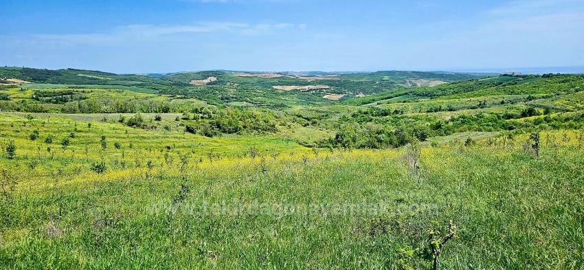 *Takas+Nakit* Devlet Desteği İle Çiftlik Kur* Üret Büyüt* Geleceğine Garantiye Al*