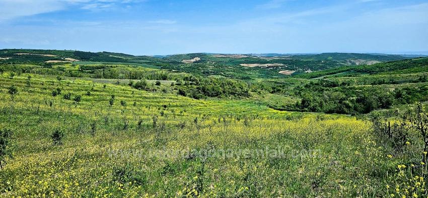 *Takas+Nakit* Devlet Desteği İle Çiftlik Kur* Üret Büyüt* Geleceğine Garantiye Al*