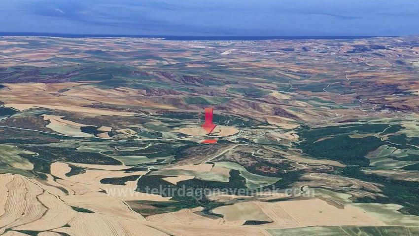 Müstakil Parsel Tek Tapu Hisseli Değil Köy İmar Sınırına Çok Yakın Acil Satılık Fırsat Ara