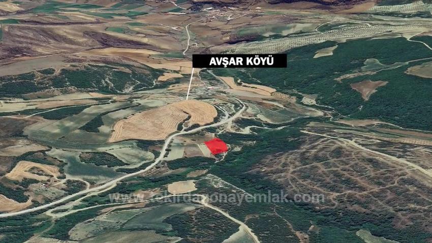 Müstakil Parsel Tek Tapu Hisseli Değil Köy İmar Sınırına Çok Yakın Acil Satılık Fırsat Ara