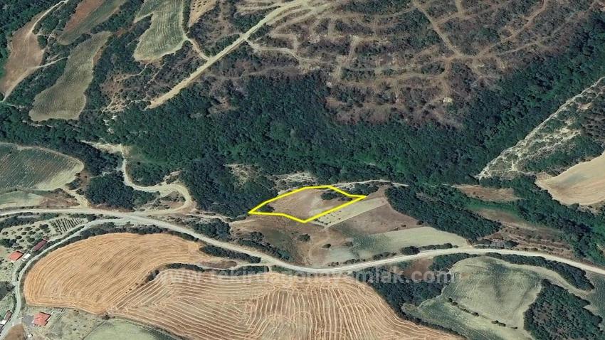 Müstakil Parsel Tek Tapu Hisseli Değil Köy İmar Sınırına Çok Yakın Acil Satılık Fırsat Ara