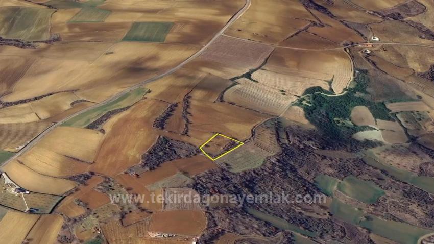 Yatırım Fırsatı Al-Sat Yapmak İsteyenler İçin Kısa Vadede Uüksek Kazanç Garentisi