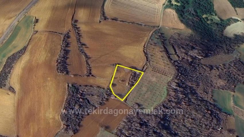 Yatırım Fırsatı Al-Sat Yapmak İsteyenler İçin Kısa Vadede Uüksek Kazanç Garentisi