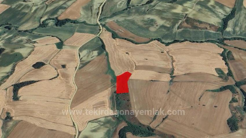 Tekirdağ Oruç Beyli Mahallesindekaçırılmayacak Yatırım Fırsatı 8.100 M2 Kelepir Tarla