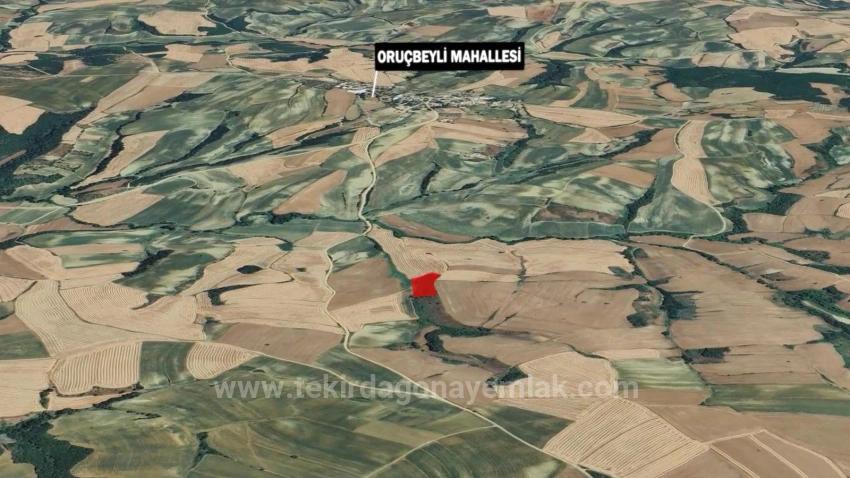 Süleymanpaşa Oruçbeyli Mah. Satılık Tarla - Tarla İmar Durumlu - 8.100 m²