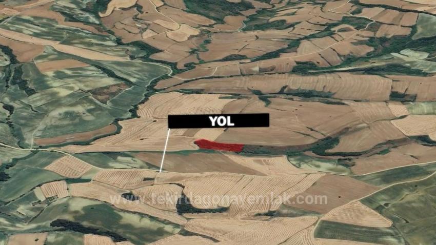 Tekirdağ Oruç Beyli Mahallesindekaçırılmayacak Yatırım Fırsatı 8.100 M2 Kelepir Tarla