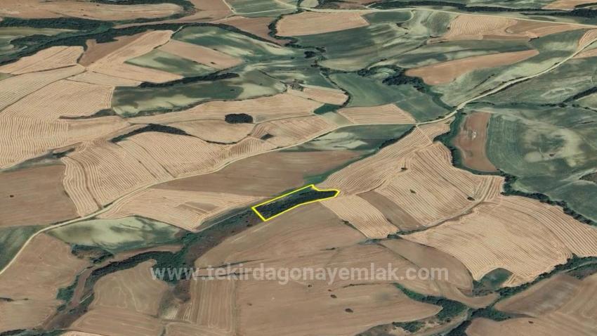 Süleymanpaşa Oruçbeyli Mah. Satılık Tarla - Tarla İmar Durumlu - 8.100 m²