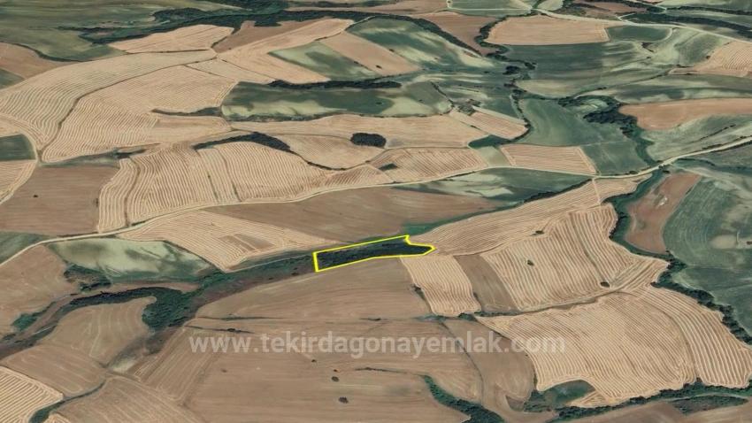 Tekirdağ Oruç Beyli Mahallesindekaçırılmayacak Yatırım Fırsatı 8.100 M2 Kelepir Tarla