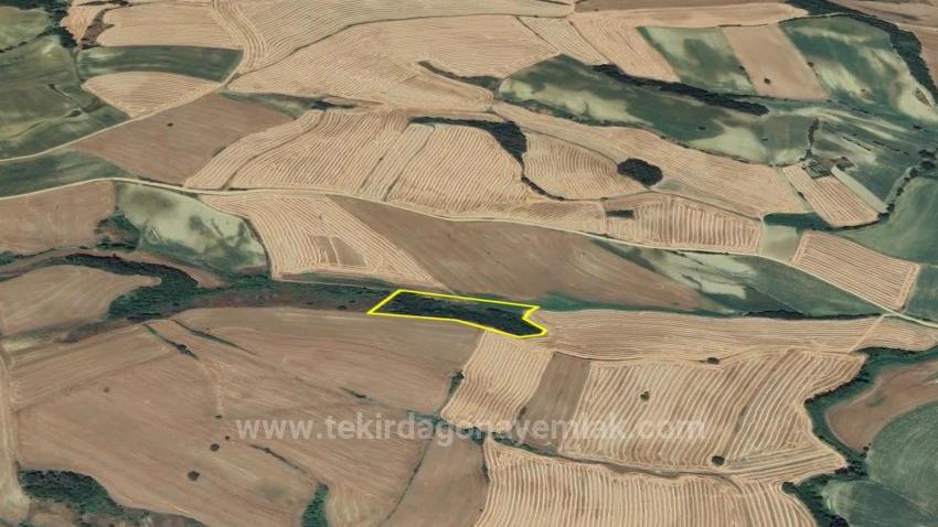 Tekirdağ Oruç Beyli Mahallesindekaçırılmayacak Yatırım Fırsatı 8.100 M2 Kelepir Tarla