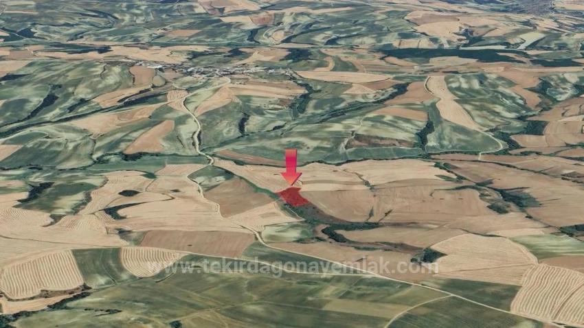Süleymanpaşa Oruçbeyli Mah. Satılık Tarla - Tarla İmar Durumlu - 8.100 m²