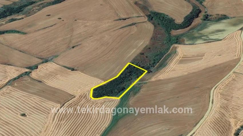 Süleymanpaşa Oruçbeyli Mah. Satılık Tarla - Tarla İmar Durumlu - 8.100 m²