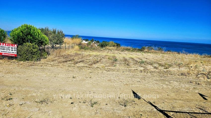 Hayelinizdeki Müstakil Evi Yapmanız İçı Full Deniz Manzarlı Fırsat Arsa