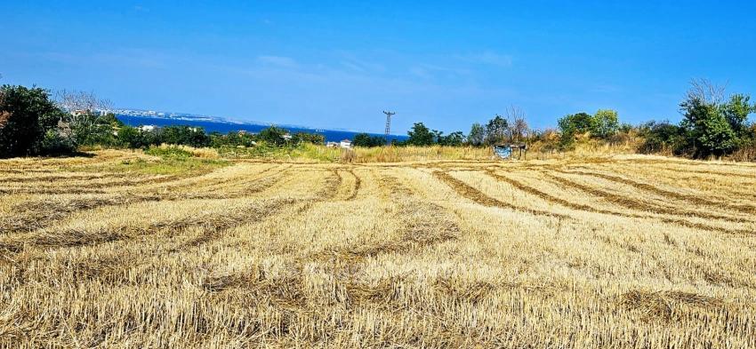 Asyaport Limanına Yakın 615 M2 Kelepir Köşe Arsa