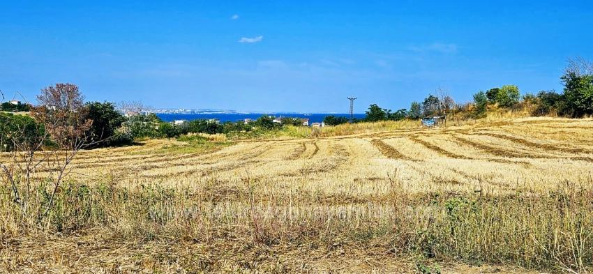 Asyaport Limanına Yakın 615 M2 Kelepir Köşe Arsa