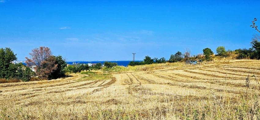 Asyaport Limanına Yakın 615 M2 Kelepir Köşe Arsa