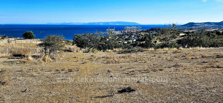 Al-Sat Yapmak İsteyenler İçin Yüksek Kazanç Garantisi Nakit İhtiyacından Dolayı Acil Satıl