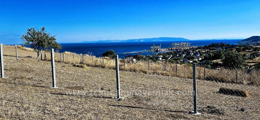 Al-Sat Yapmak İsteyenler İçin Yüksek Kazanç Garantisi Nakit İhtiyacından Dolayı Acil Satıl