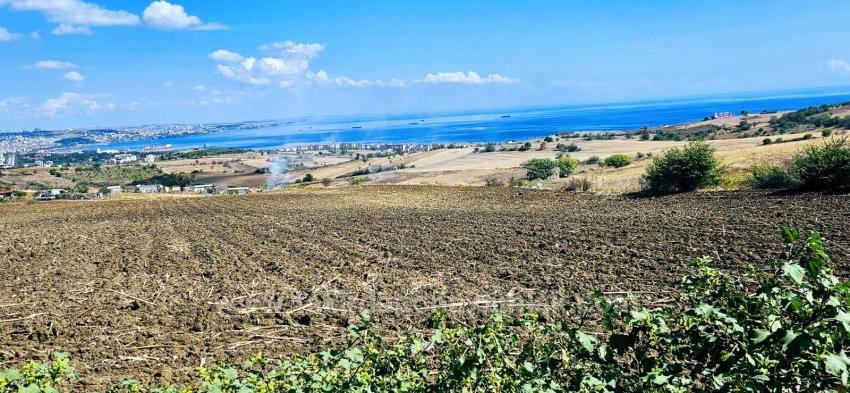 Full Deniz Manzaralı 4 Adet Lüxs Villa Poojesine Uygun Fırsat Arsa