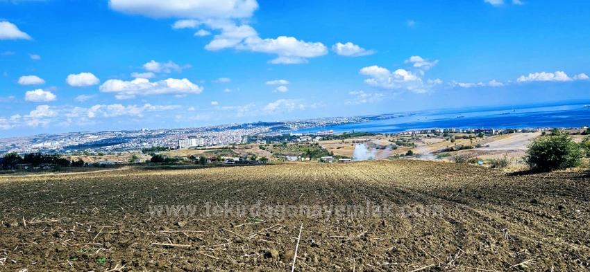 Full Deniz Manzaralı 4 Adet Lüxs Villa Poojesine Uygun Fırsat Arsa