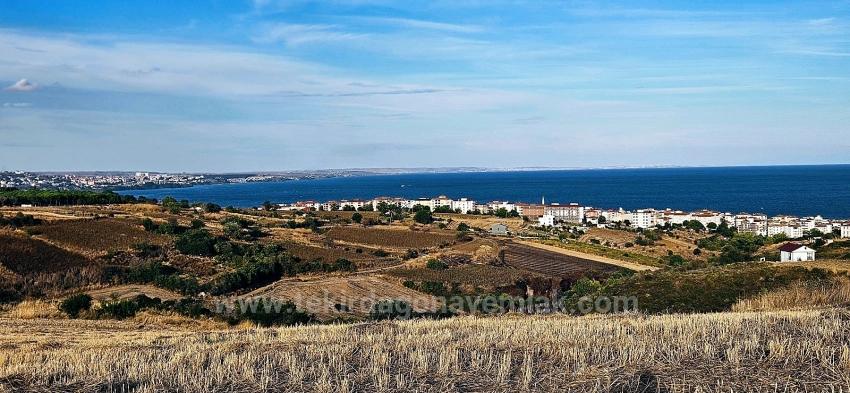 Tekirdağ Topağaç Mahallesinde Full Deniz Manzarlı 1.150 M2 Kelepir Yer