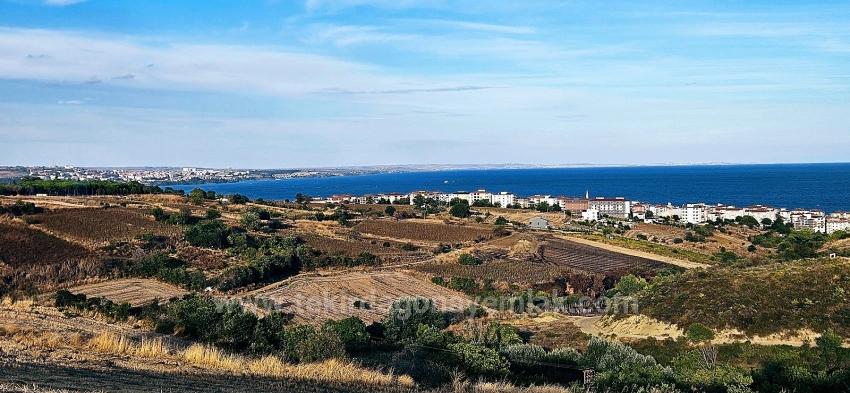 Tekirdağ Topağaç Mahallesinde Full Deniz Manzarlı 1.150 M2 Kelepir Yer