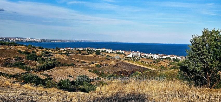 Tekirdağ Topağaç Mahallesinde Full Deniz Manzarlı 1.150 M2 Kelepir Yer