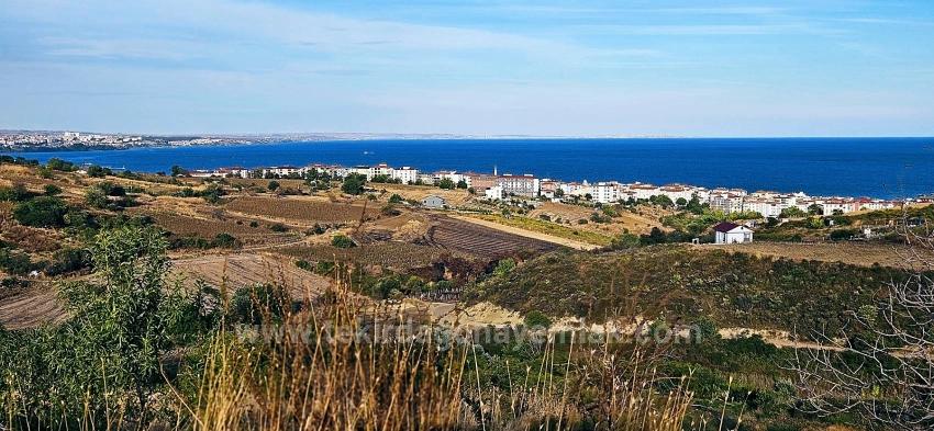 Tekirdağ Topağaç Mahallesinde Full Deniz Manzarlı 1.150 M2 Kelepir Yer