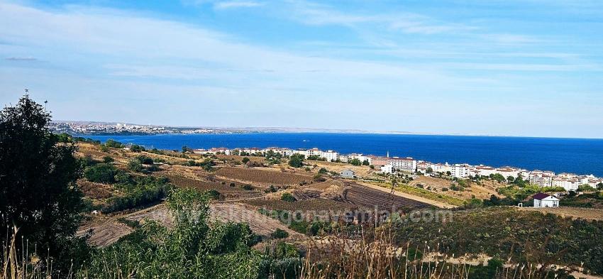 Tekirdağ Topağaç Mahallesinde Full Deniz Manzarlı 1.150 M2 Kelepir Yer