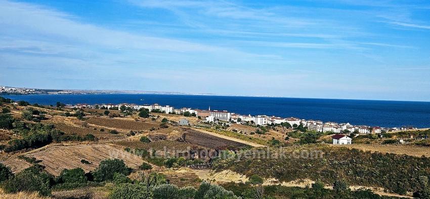 Tekirdağ Topağaç Mahallesinde Full Deniz Manzarlı 1.150 M2 Kelepir Yer