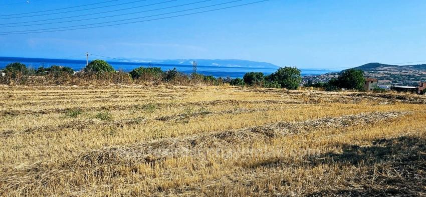 Asyaport Limanına Yakın 8.500 M2 Konut İmarlı Yüksek Kazanç Vaadi Arazi