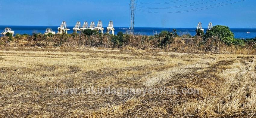Süleymanpaşa Kumbağ Barbaros Mah. Satılık Tarla - Konut İmar Durumlu - 8.500 m²