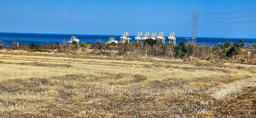 Asyaport Limanına Yakın 8.500 M2 Konut İmarlı Yüksek Kazanç Vaadi Arazi