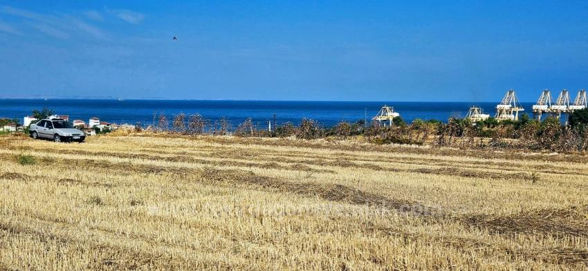 Asyaport Limanına Yakın 8.500 M2 Konut İmarlı Yüksek Kazanç Vaadi Arazi
