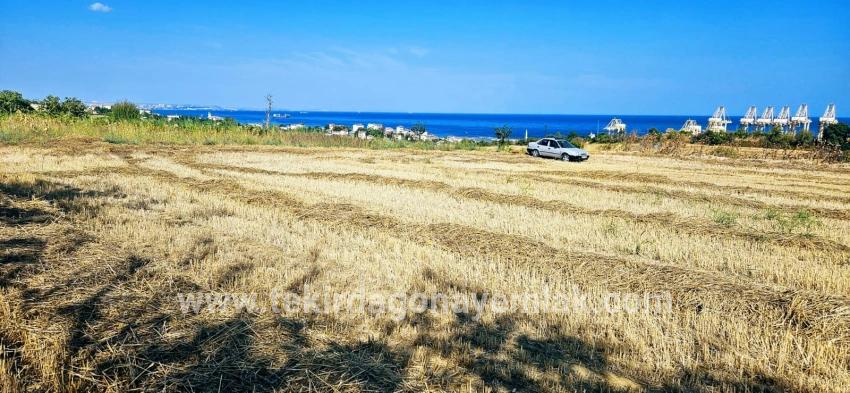 Süleymanpaşa Kumbağ Barbaros Mah. Satılık Tarla - Konut İmar Durumlu - 8.500 m²